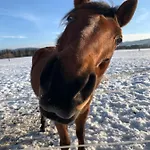 Ranczo Zwierzyniec * Jordanow