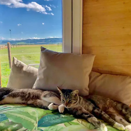 Ranczo Zwierzyniec Casa de Campo *