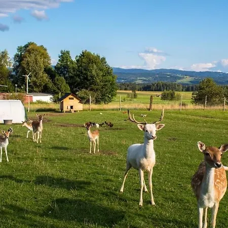 Ranczo Zwierzyniec Hétvégi ház Jordanów