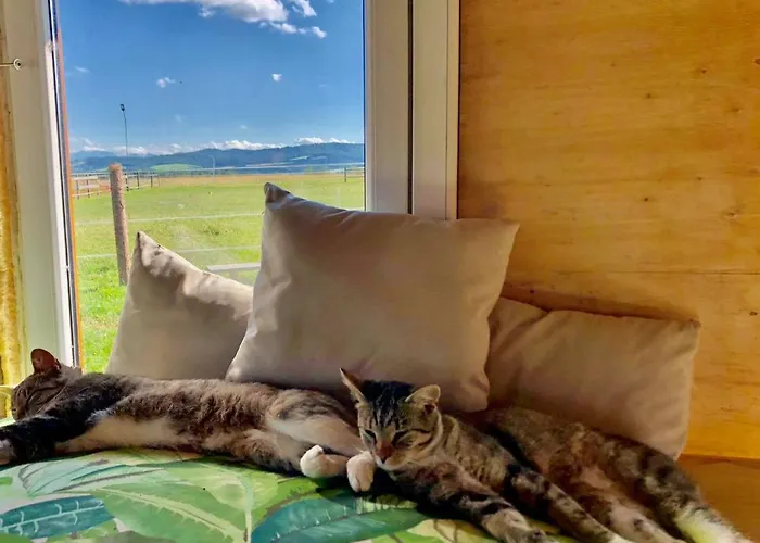 Ranczo Zwierzyniec 乡村民宿 *