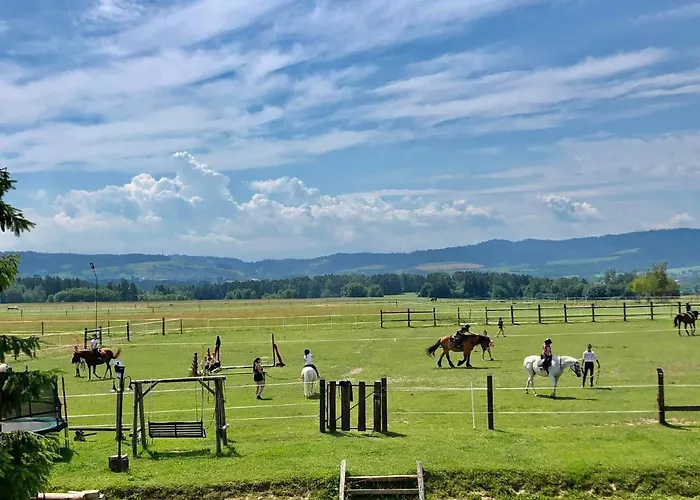 乡村民宿 Ranczo Zwierzyniec