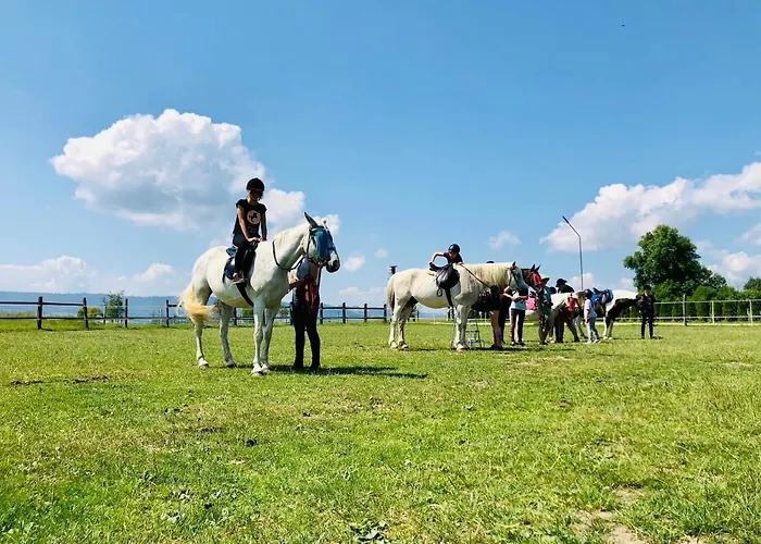 乡村民宿 Ranczo Zwierzyniec *