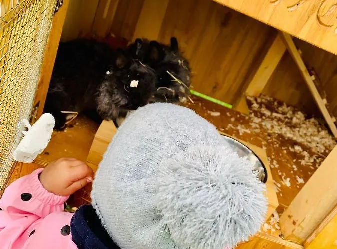 Ranczo Zwierzyniec Jordanow