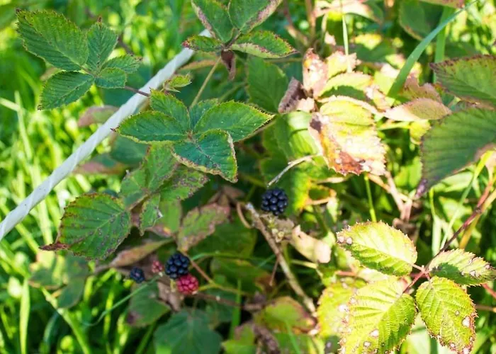 Ranczo Zwierzyniec * Jordanow