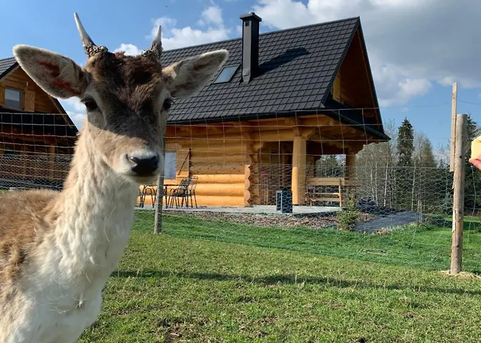 Ranczo Zwierzyniec *